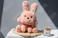 Oryctolagus cuniculus (兔糯米)